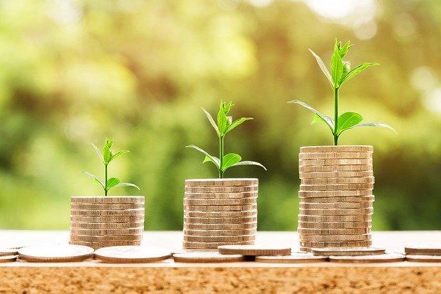 cât profit produci